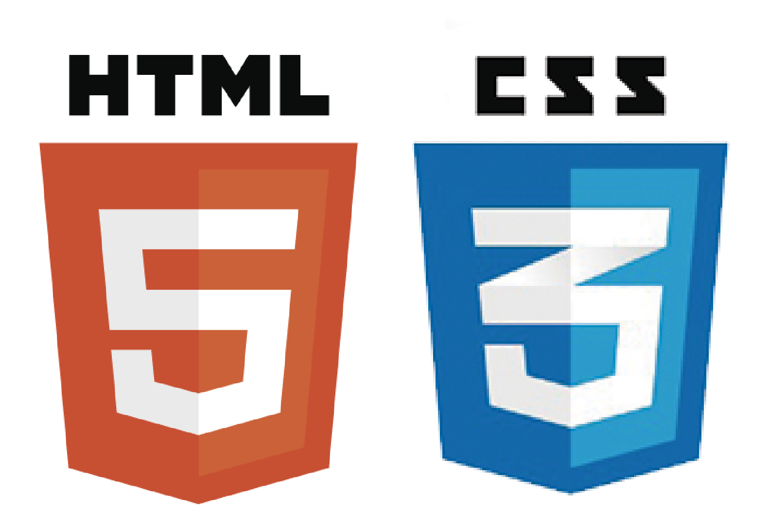 HTML / CSS